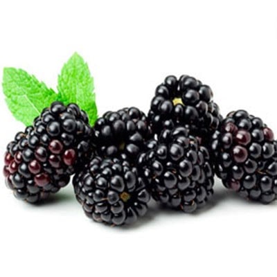 تمشک مفید برای دیابتی ها