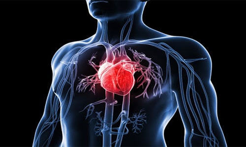 آسیب به دستگاه گردش خون