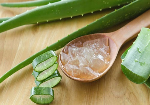 مصرف آلوئه ورا برای درمان دیابت