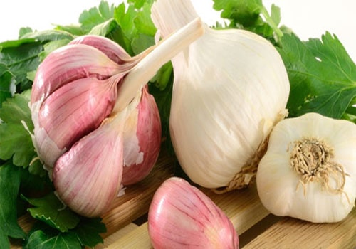 مصرف سیر برای درمان دیابت